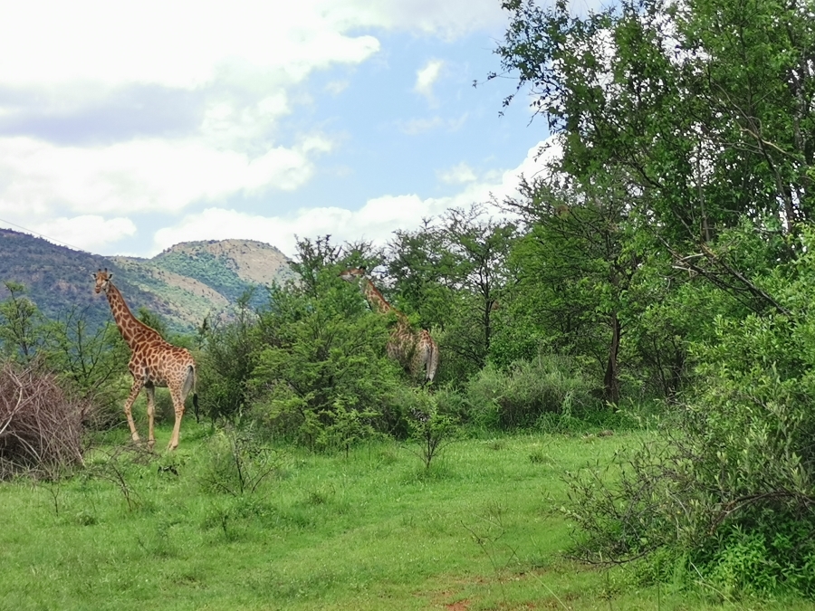 Commercial Property for Sale in Vredefort Rural Free State